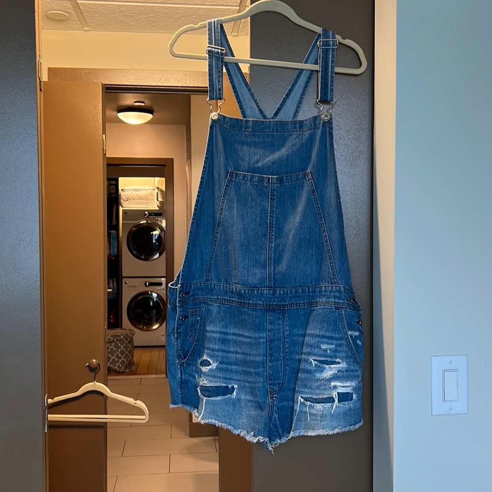 American Eagle Overalls